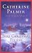 Books : That Christmas Feeling: Christmas in My Heart/Christmas Moon (Steeple Hill Christmas 2-in-1)