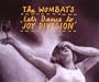 Let's Dance to Joy Division