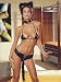 PURRfect Kitty Cat Costume Sexy Girl 4 Piece Set Bra Top Panty Ears & Collar MEOW