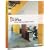 Office Small Business Edition 2003 (Excel, Outlook, Word, Powerpoint, Publisher)