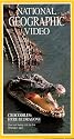 National Geographic's Crocodiles: Here Be Dragons [VHS]