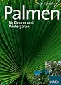 Sch&ouml;ne Palmen f&uuml;r Zimmer und Wintergarten