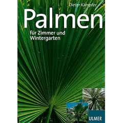 Sch�ne Palmen f�r Zimmer und Wintergarten
