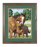 Eigenschaften Dimensions / Mothers Pride Pferde Malen nach Zahlen