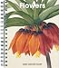 Flowers Diary 2004