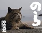 2013猫カレンダー のら ([カレンダー])