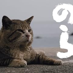 2013猫カレンダー のら ([カレンダー])