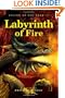 Labyrinth of Fire (Island of Fog, Book 2)