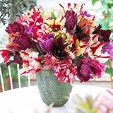 Parrot Tulip Bulbs Mix