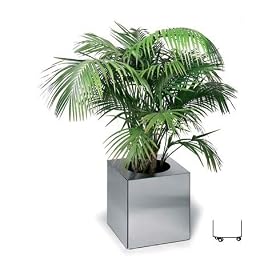 Blomus 65100 planter on wheels 35 x 35 x 35 cm [Kitchen] by 