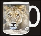 Review Advanta  / LIONESS Big Cat Coffee Mug