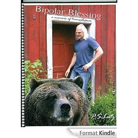 Bipolar Blessing - a memoir of transilience