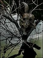the GazettE LIVE TOUR13-14[MAGNIFICENT MALFORMED BOX]FINAL CODA LIVE AT 01.11 YOKOHAMA ARENA(������������� [DVD](����ȯ�䡡ͽ���)