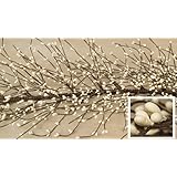 CWI Gifts Pip Berry Garland, 4-Feet, Ivory/Vanilla