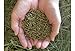 Small Pet Select Guinea Pig Food Pellets, 5 Lb.