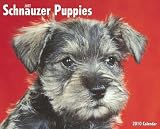 Just Schnauzer Puppies 2010 Standard Wall Calendar By Willow Creek Press