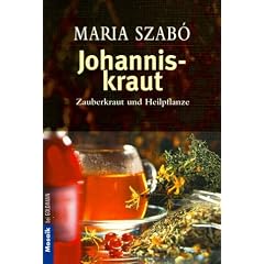 Johanniskraut. Zauberkraut und Heilpflanze.