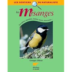 Les m�sanges : Description, r�partition, habitat, moeurs, observation...