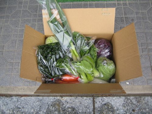 あわや自然農園　有機無農薬野菜セット（１０種類以上）送料込