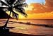 Pacific Sunset 218 Wall Mural