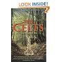 A Brief History of the Celts
