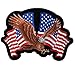 Hot Leathers, EAGLE 2 FLAGS, American Eagle with USA Flags - High Thread Iron-On / Saw-On Rayon PATCH - 4