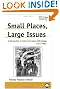 Small Places, Large Issues: An Introduction to Social and Cultural Anthropology (Anthropology, Culture and Society)