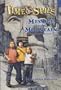 Message in the Mountain (Time Spies)