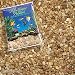 Worldwide Imports Natural Gravel 25lb - Nutty Pebbles (2pc)