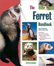 The Ferret Handbook (Pet Handbooks)