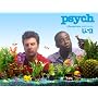 Psych Season 3