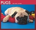 Pugs 2009 Boxed Calendar