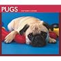 Pugs 2009 Boxed Calendar