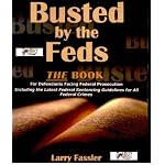 Busted by the Feds: A Manual for Defendants Facing Federal Prosecution book cover
