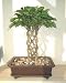 51K8YsdLHnL. SL75  Bonsai Artificial Tree