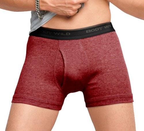 グンゼ BODY WILD BASIC ボクサーブリーフ BW1581V