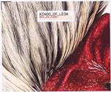 Sex on Fire - Kings of Leon