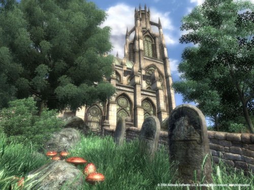Cover image : The Elder Scrolls IV: Oblivion Game of the Year Edition(輸入版:北米)