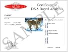 Canine Heritage Dog-Breed...