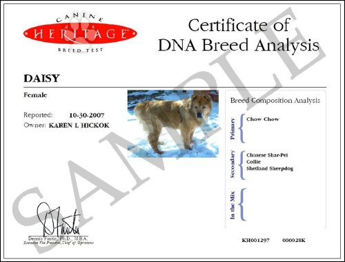 Canine Heritage Dog-Breed Mail-In Test Kit, XL