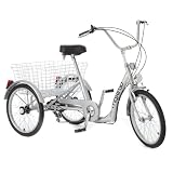 Dreirad für Erwachsene mit tiefem Einstieg. 20 Zoll (51cm). 6 Gang Shimano Kettenschaltung.