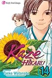 Kaze Hikaru, Vol. 14