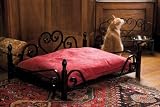 Exclusive Wrought Iron Dog Bed