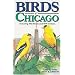 Birds of Chicago (U.S. City Bird Guides)