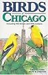 Birds of Chicago (U.S. City Bird Guides)