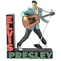 McFarlane - Elvis Presley Early 60's Rockabilly figure