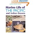 Marine Life of the Pacific and Indian Oceans by Gerald Allen, Fiona Nichols, Michael Stachels, and Roger Steene