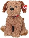 Ty Dogs - Brodie