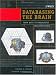 Book Databasing the Brain: From Data to Knowledge (Neuroinformatics)
