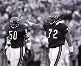 Mike Singletary & William Perry Chicago Bears 8 X 10 photo